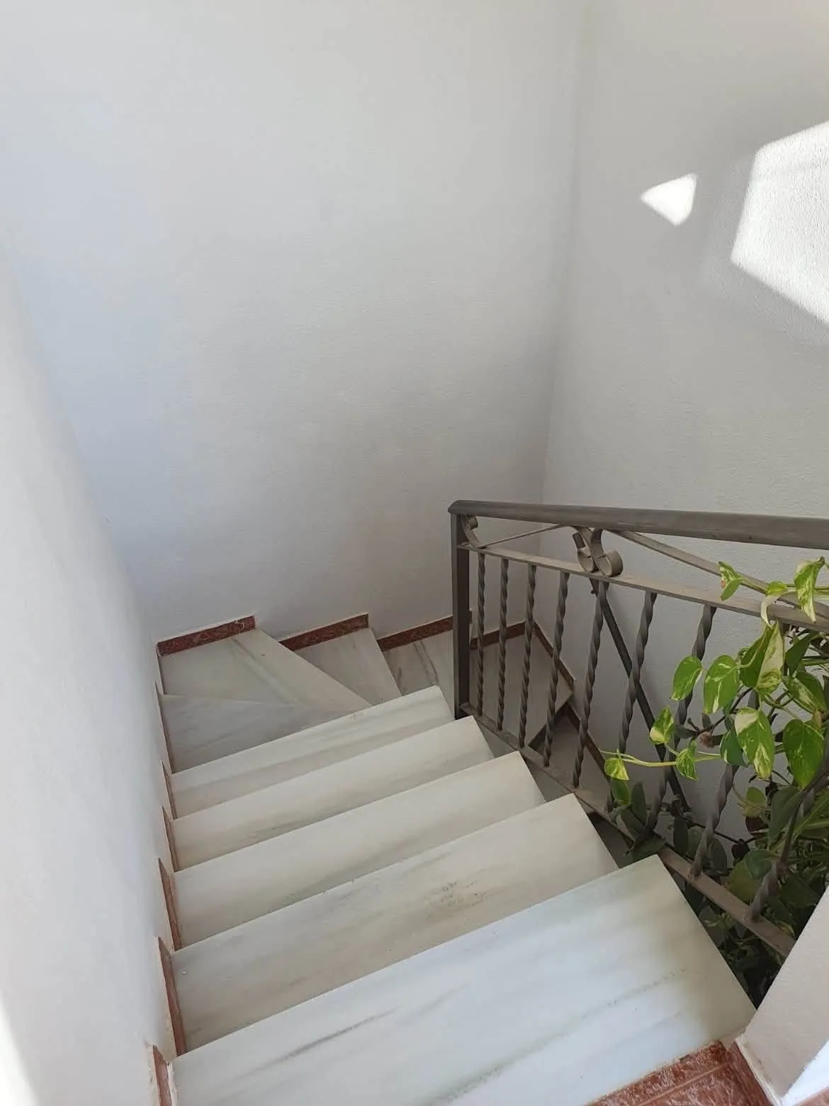 LONG-TERM RENTAL – TORREVIEJA — foto 16 de 17